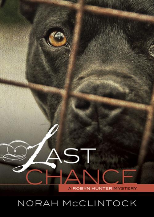 Cover of the book Last Chance by Norah McClintock, Lerner Publishing Group