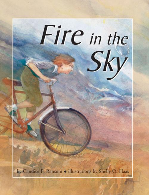 Cover of the book Fire in the Sky by Candice Ransom, Lerner Publishing Group