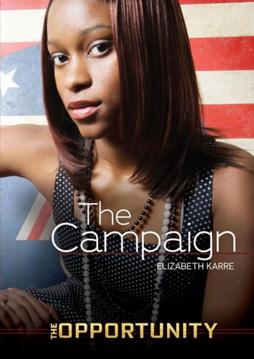 Cover of the book The Campaign by Elizabeth Karre, Lerner Publishing Group