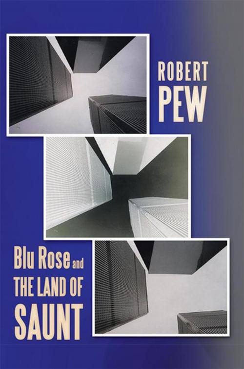 Cover of the book Blu Rose and the Land of Saunt by Robert Pew, Xlibris US