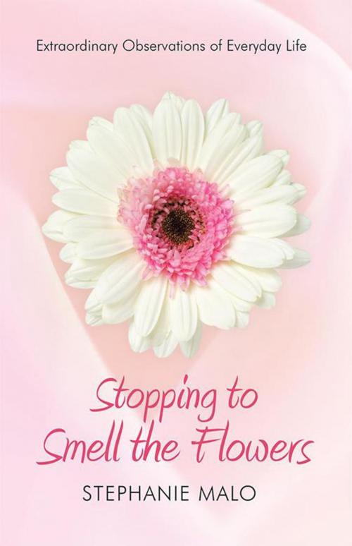 Cover of the book Stopping to Smell the Flowers by Stephanie Malo, WestBow Press