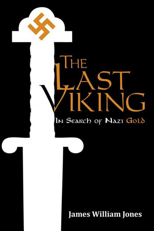 Cover of the book The Last Viking by James William Jones, iUniverse