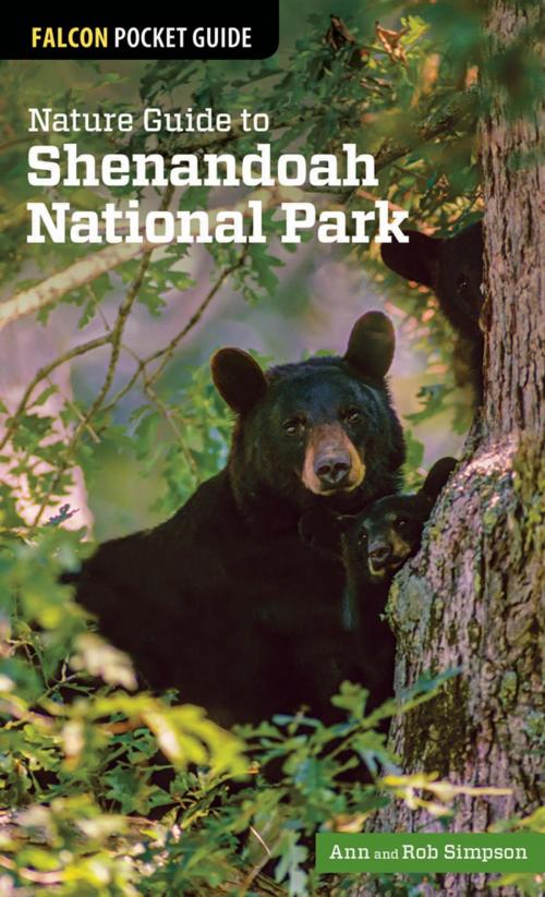 Cover of the book Nature Guide to Shenandoah National Park by Ann Simpson, Rob Simpson, Falcon Guides