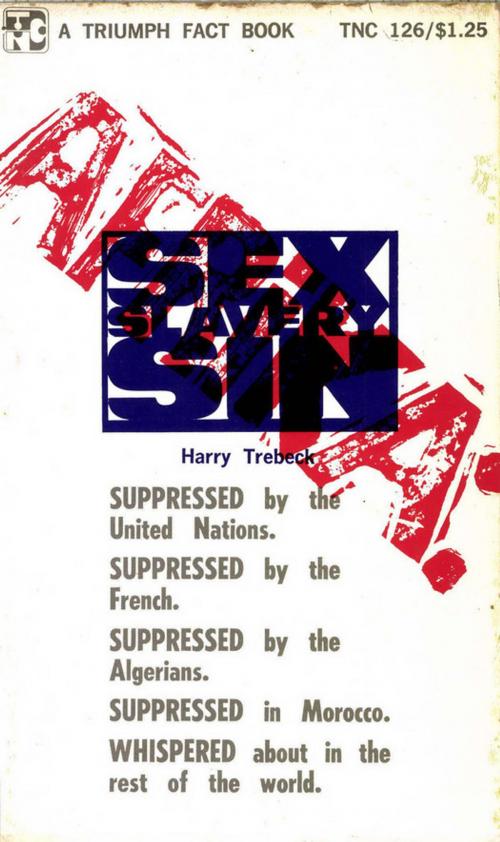 Cover of the book Afrika--Sex, Sin and Slavery by Harry Trebeck, Disruptive Publishing