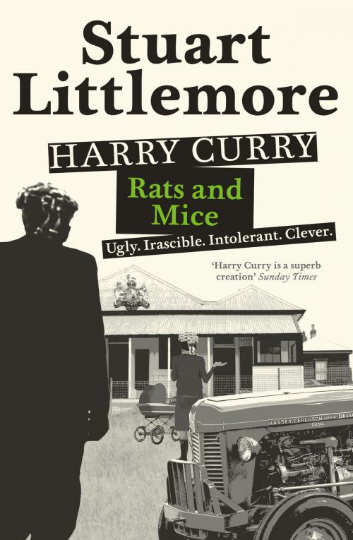 Cover of the book Harry Curry by Stuart Littlemore, HarperCollins