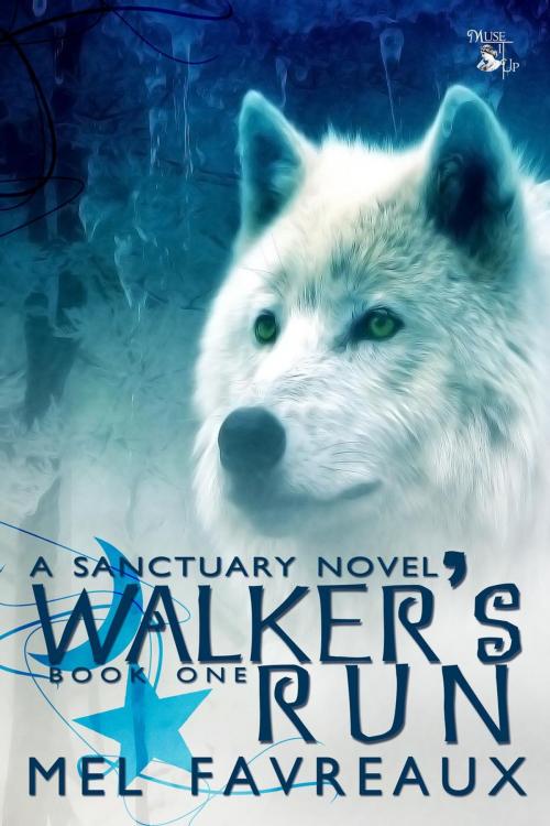 Cover of the book Walker's Run by Mel Favreaux, Lea Schizas