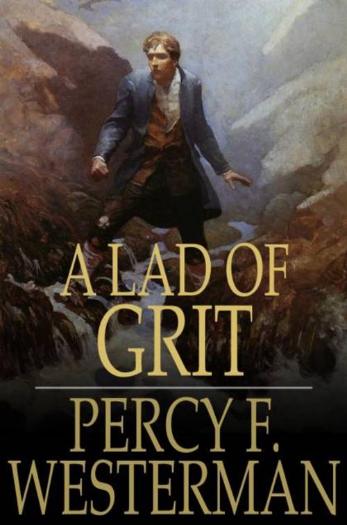 Cover of the book A Lad of Grit by Percy F. Westerman, The Floating Press