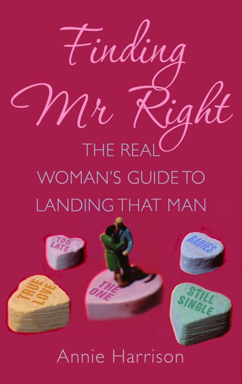 Cover of the book Finding Mr Right by Annie Harrison, Aurum Press