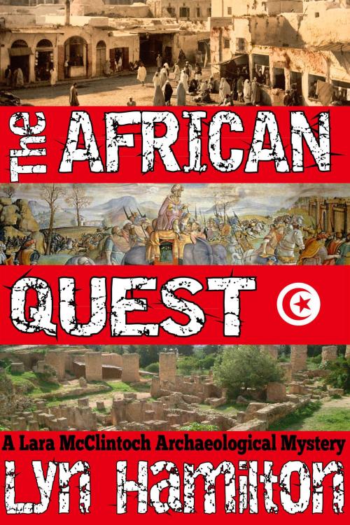 Cover of the book The African Quest by Lyn Hamilton, Bev Editions