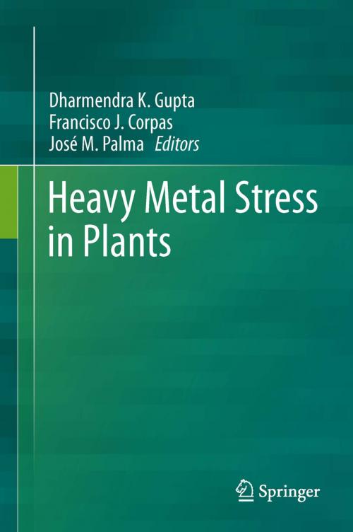 Cover of the book Heavy Metal Stress in Plants by , Springer Berlin Heidelberg