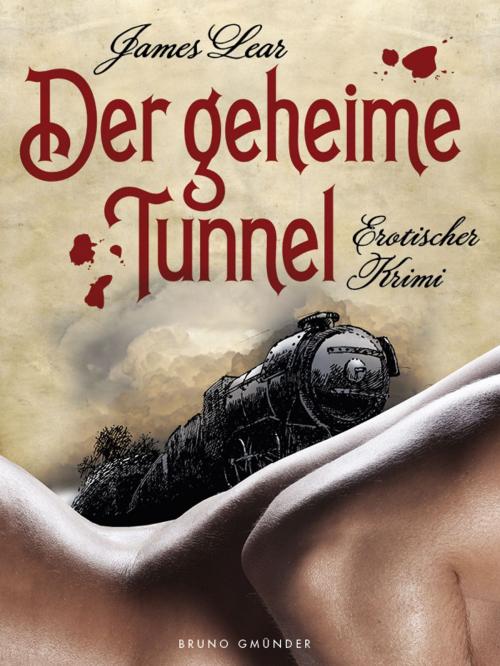 Cover of the book Der geheime Tunnel by James Lear, Bruno Gmünder Verlag