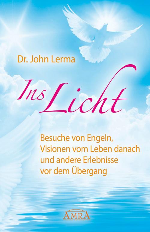 Cover of the book Ins Licht by John Lerma, AMRA Verlag