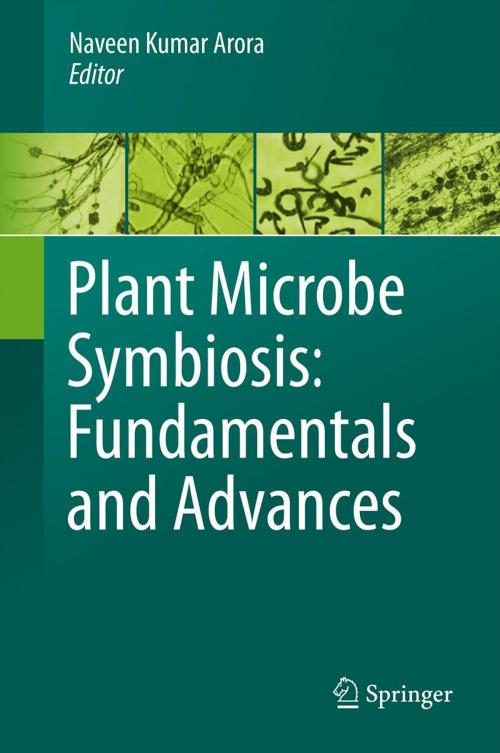 Cover of the book Plant Microbe Symbiosis: Fundamentals and Advances by , Springer India