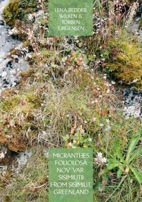 Cover of the book Micranthes foliolosa nov. var. sisimiutii from Sisimiut, Greenland by Lena Redder Wilken, Torben Jürgensen, Books on Demand