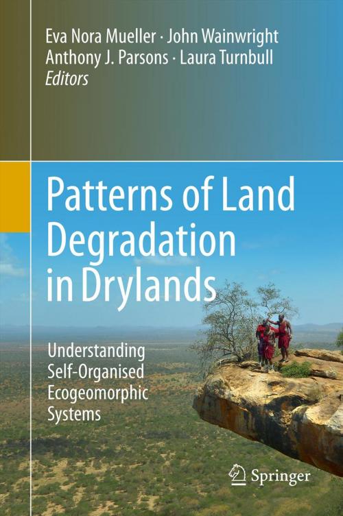 Cover of the book Patterns of Land Degradation in Drylands by , Springer Netherlands