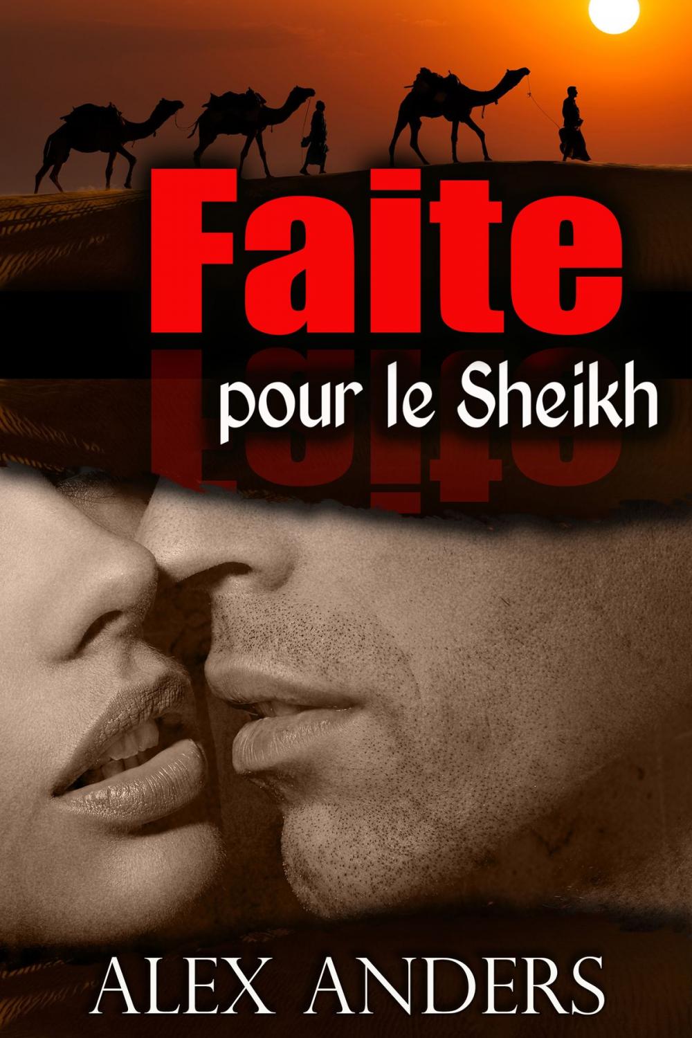 Big bigCover of Faite pour le Sheikh