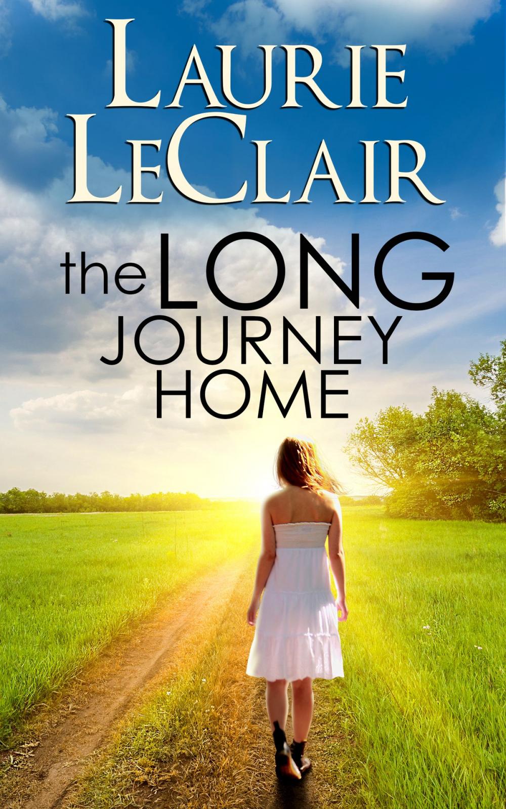 Big bigCover of The Long Journey Home