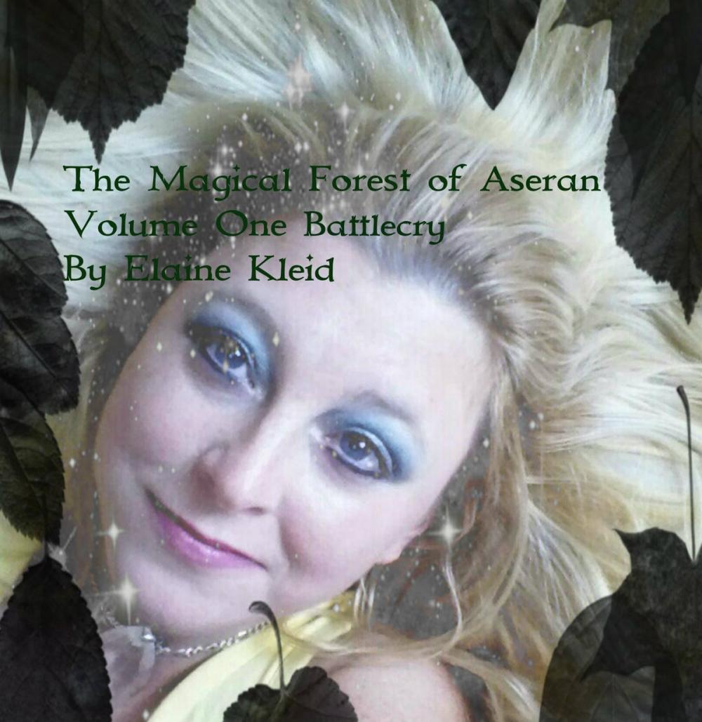 Big bigCover of The Magical Forest of Aseran