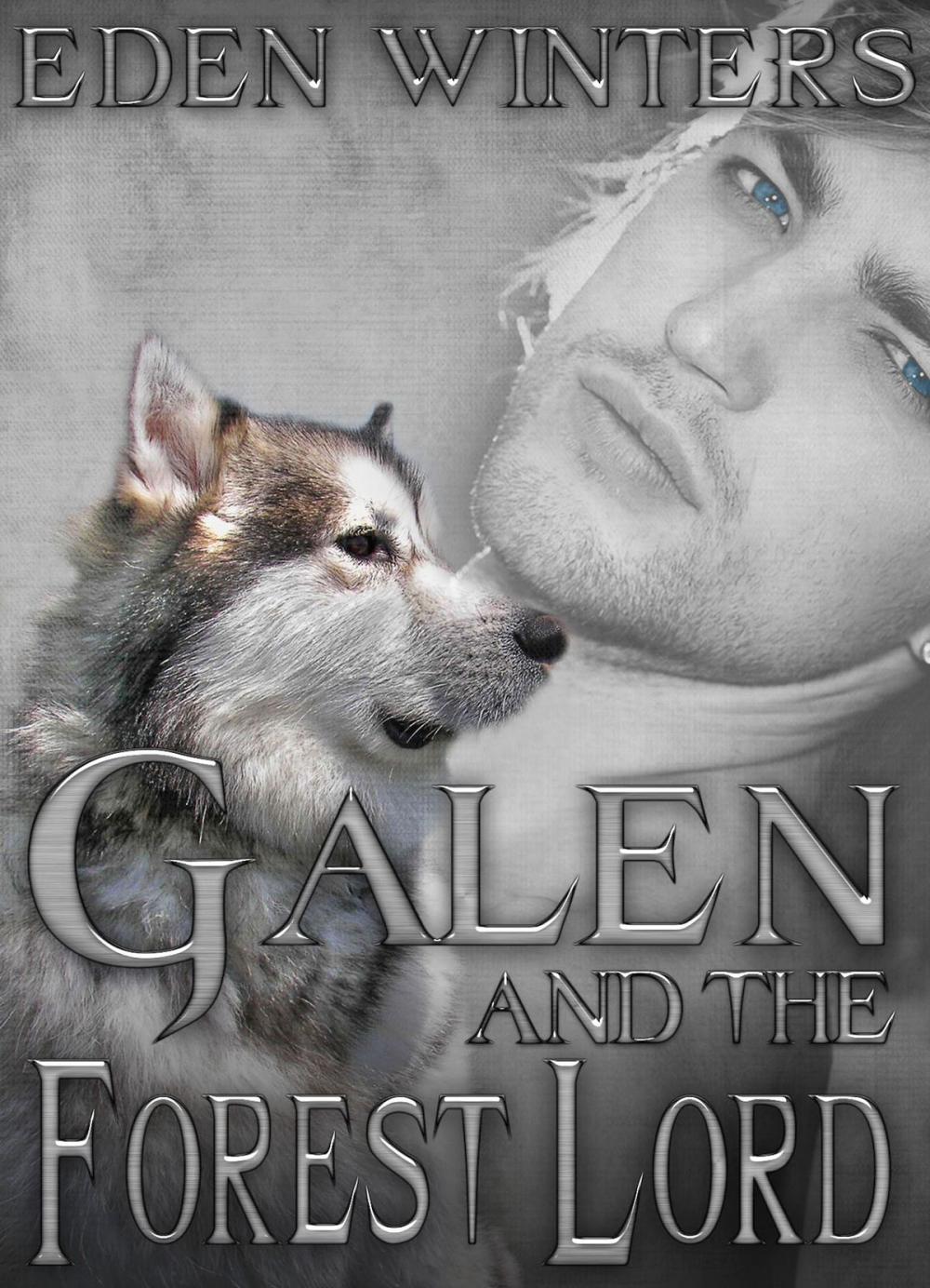 Big bigCover of Galen and the Forest Lord