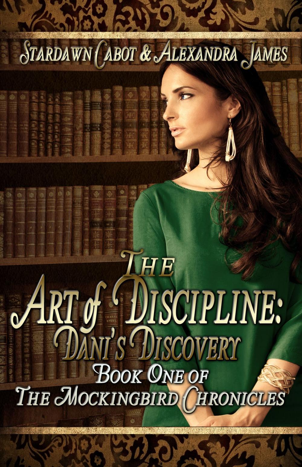 Big bigCover of The Art of Discipline: Dani's Discovery