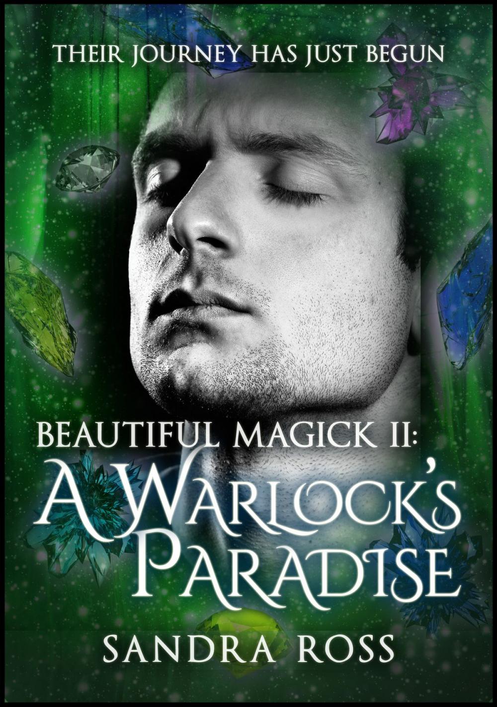 Big bigCover of A Warlock's Paradise: Beautiful Magick 2