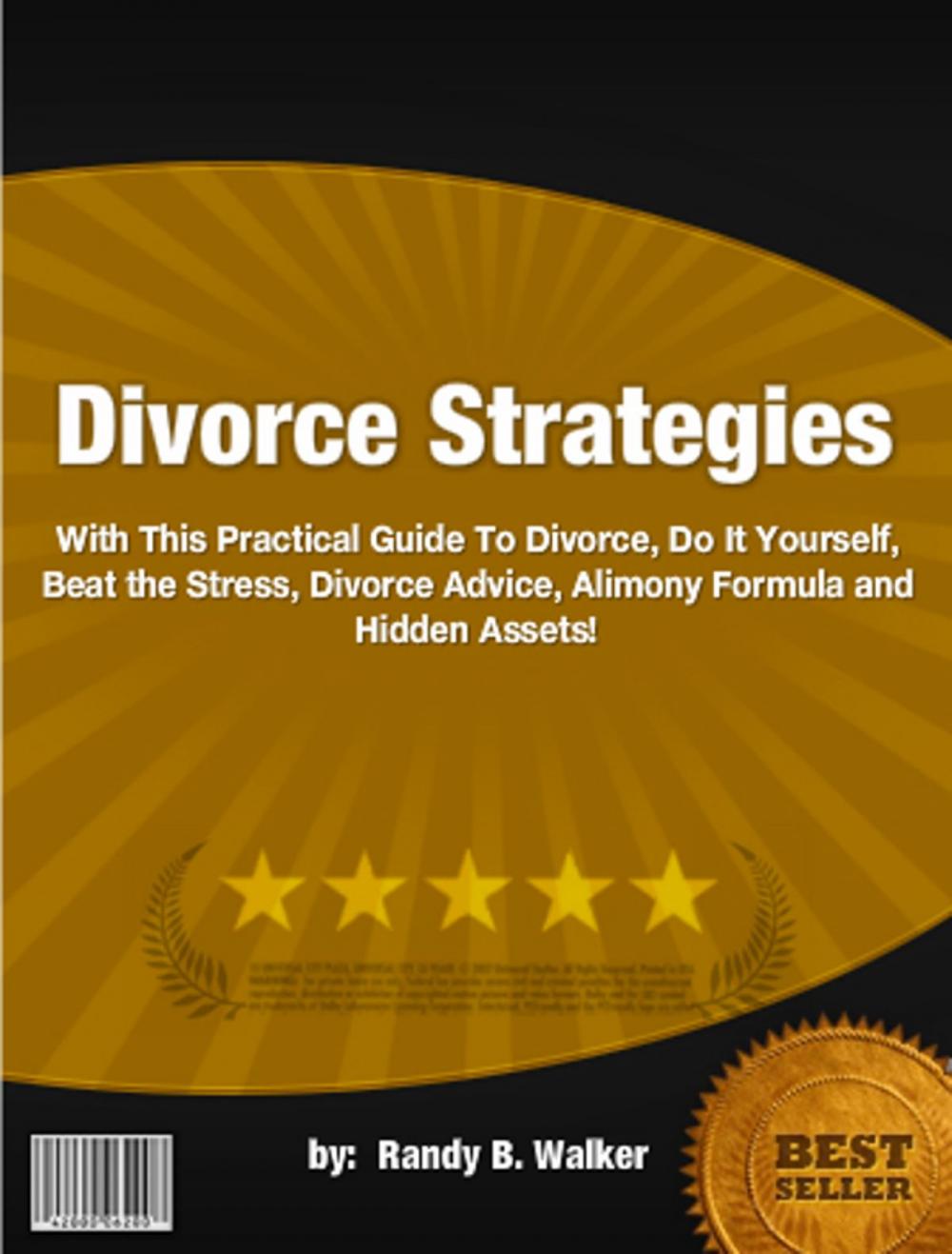 Big bigCover of Divorce Strategies