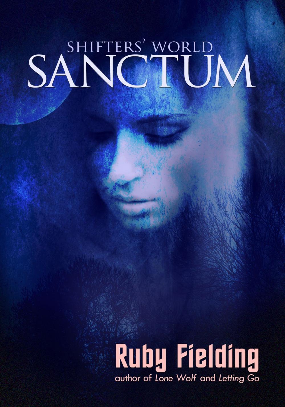 Big bigCover of Sanctum (Shifters' World 3)