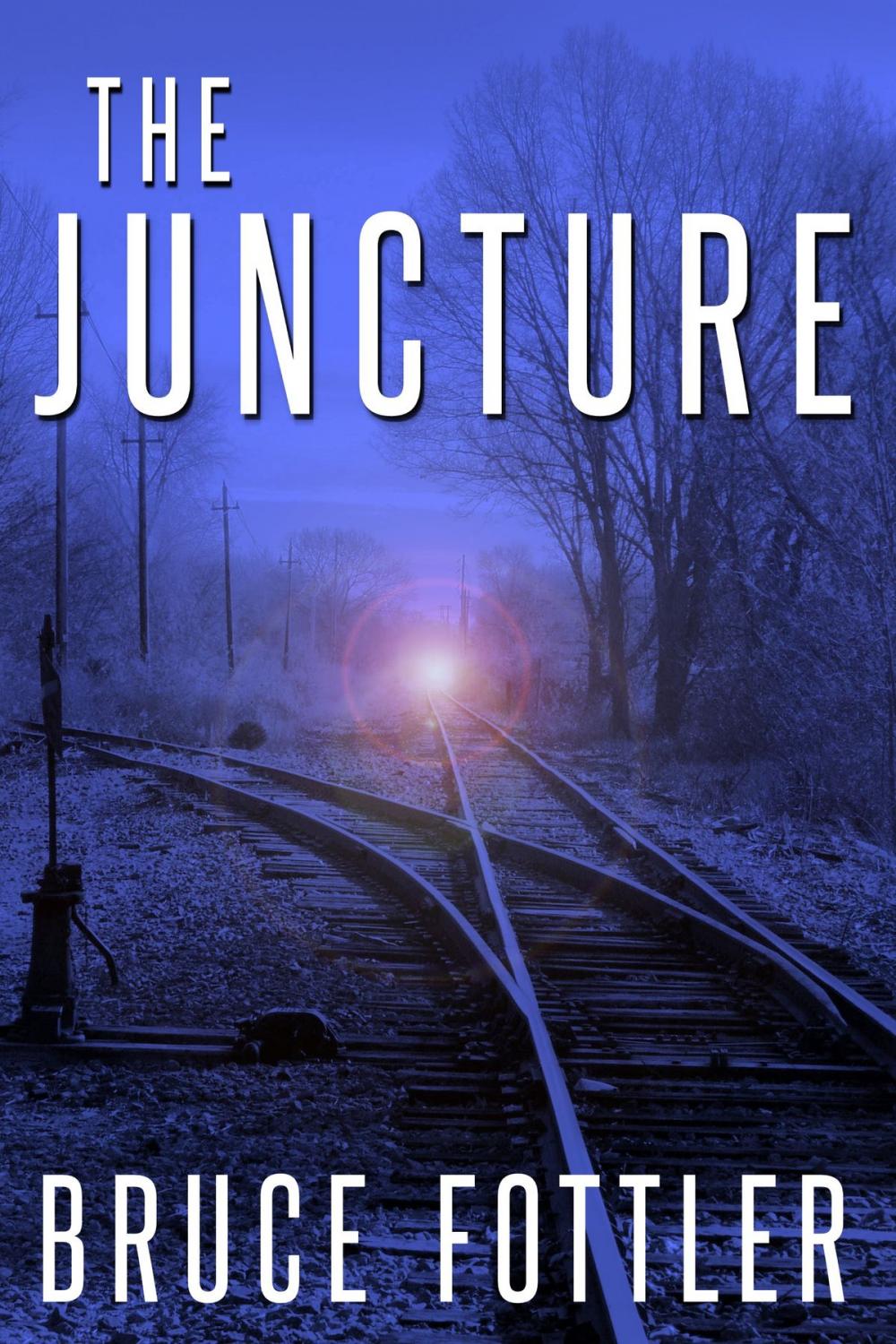 Big bigCover of The Juncture