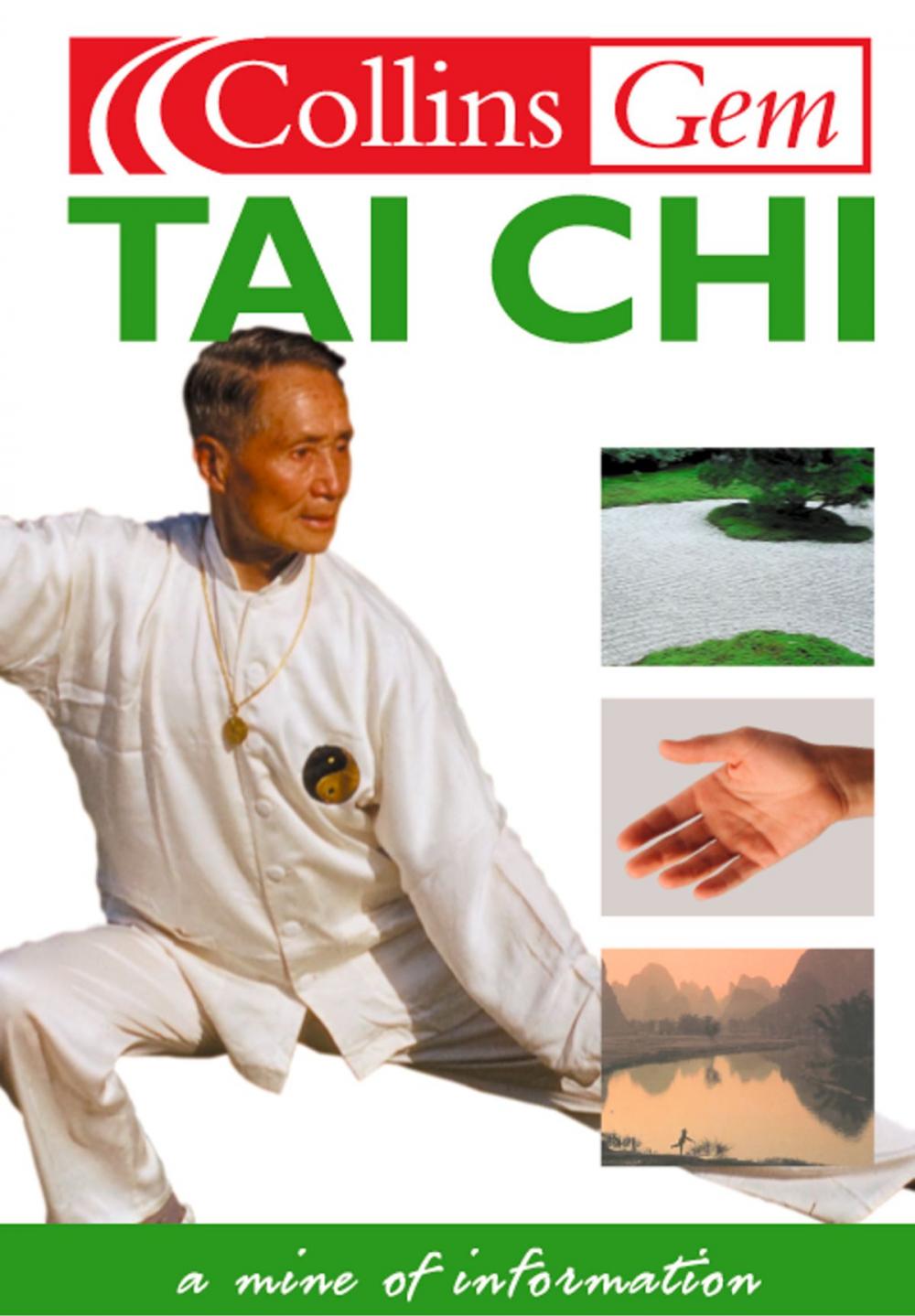 Big bigCover of Tai Chi (Collins Gem)