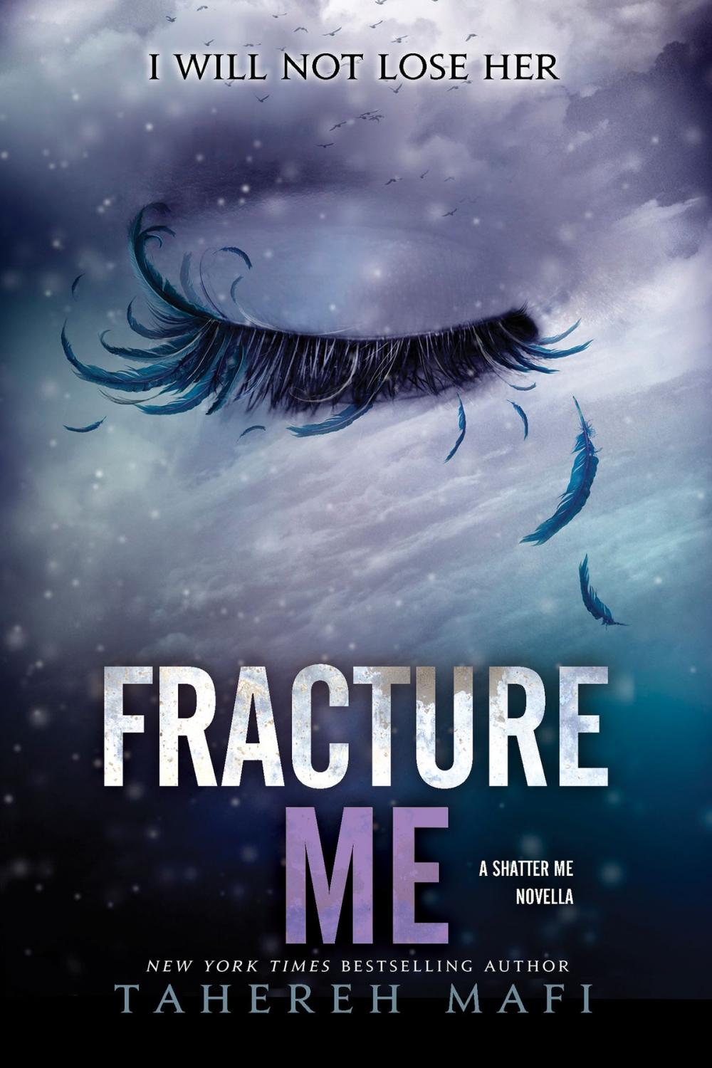 Big bigCover of Fracture Me