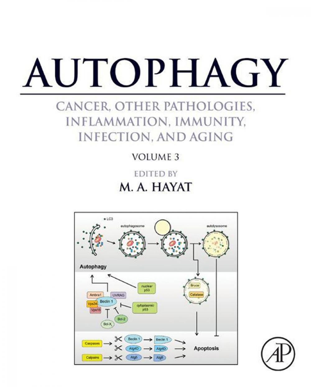 Big bigCover of Autophagy: Cancer, Other Pathologies, Inflammation, Immunity, Infection, and Aging