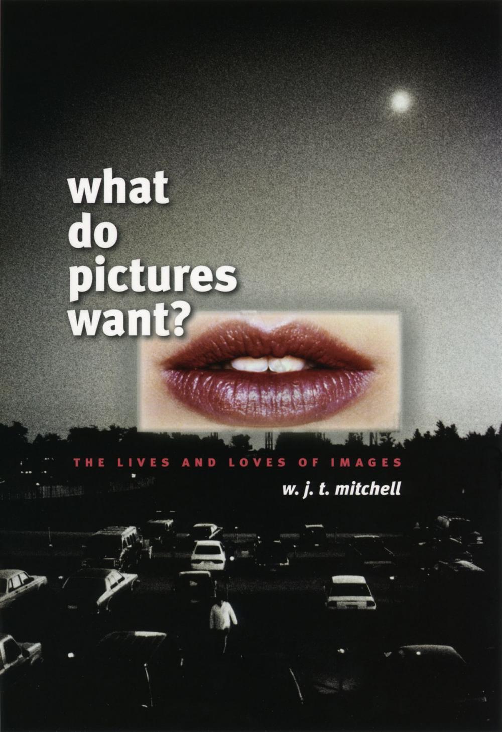 Big bigCover of What Do Pictures Want?