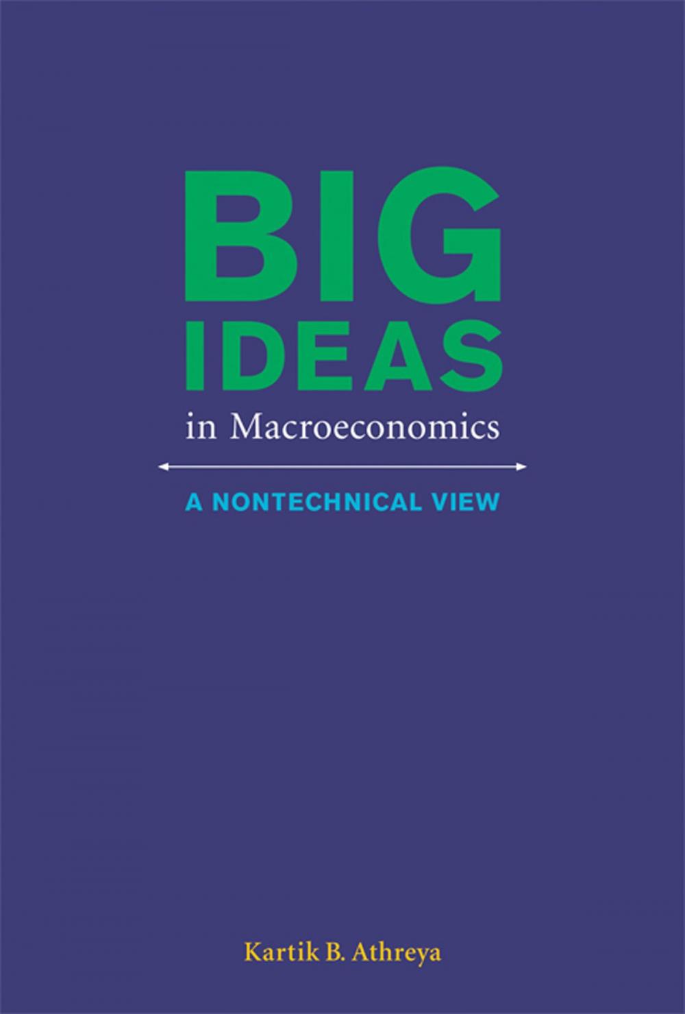 Big bigCover of Big Ideas in Macroeconomics