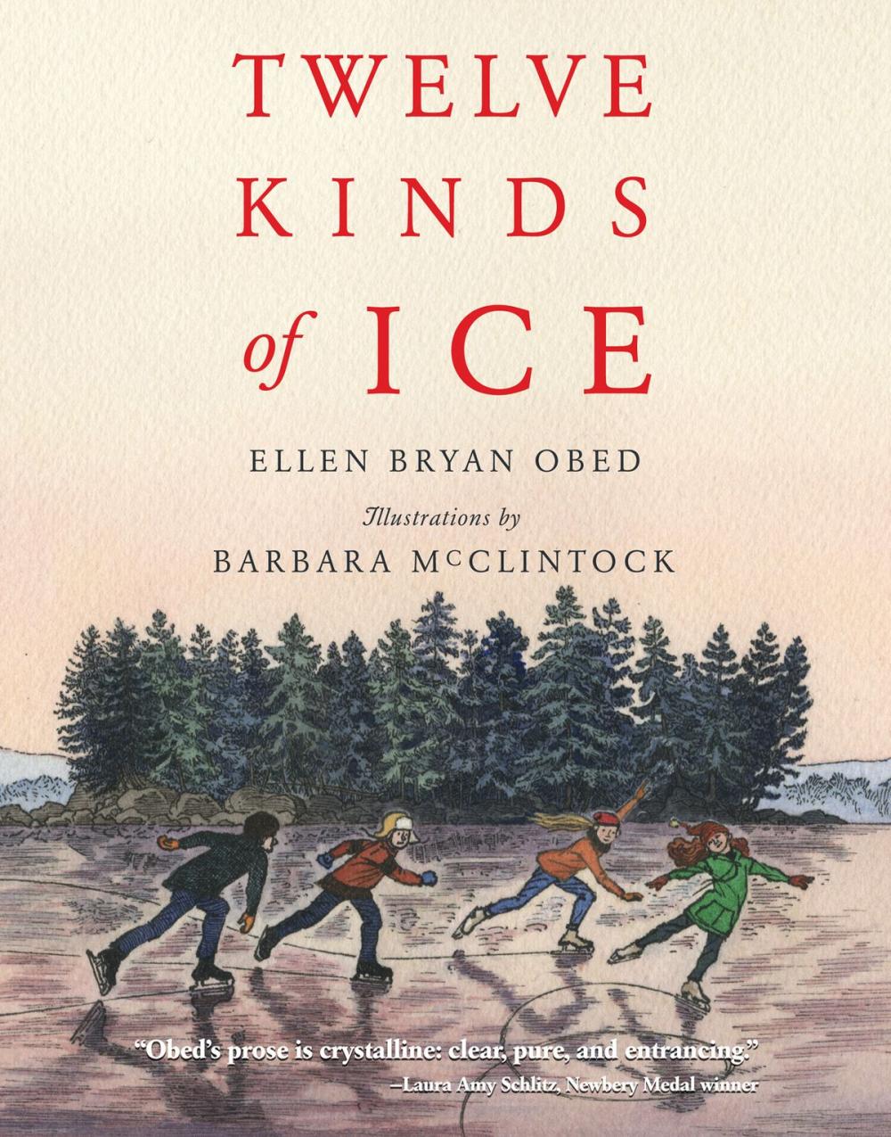 Big bigCover of Twelve Kinds of Ice