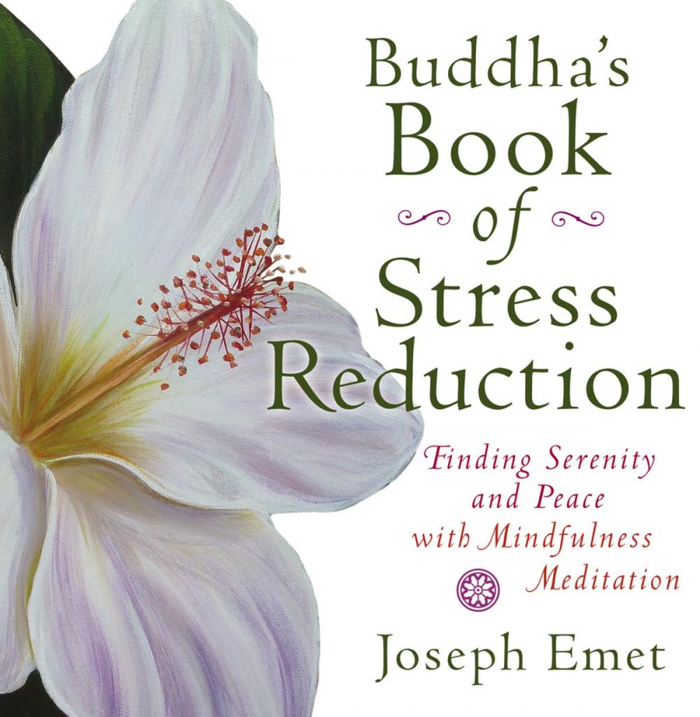 Big bigCover of Buddha's Book of Stress Reduction