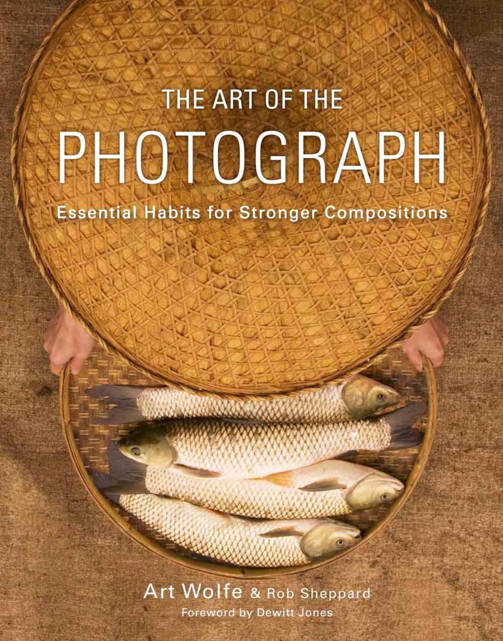 Big bigCover of The Art of the Photograph