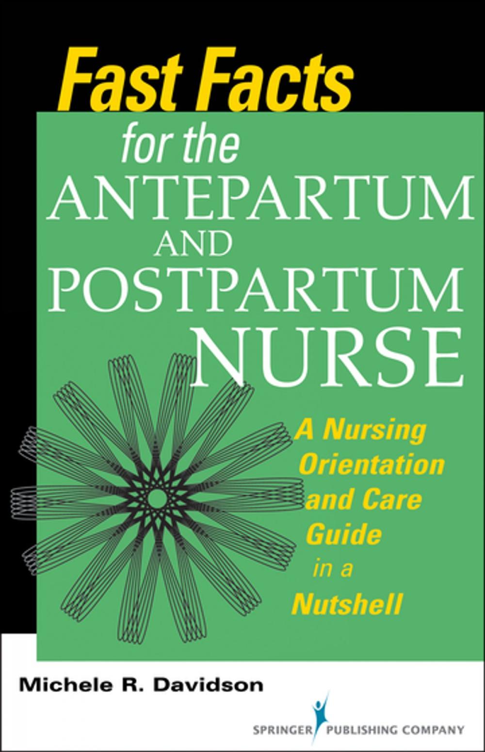 Big bigCover of Fast Facts for the Antepartum and Postpartum Nurse