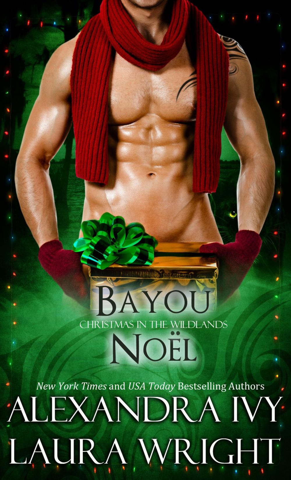 Big bigCover of Bayou Noël