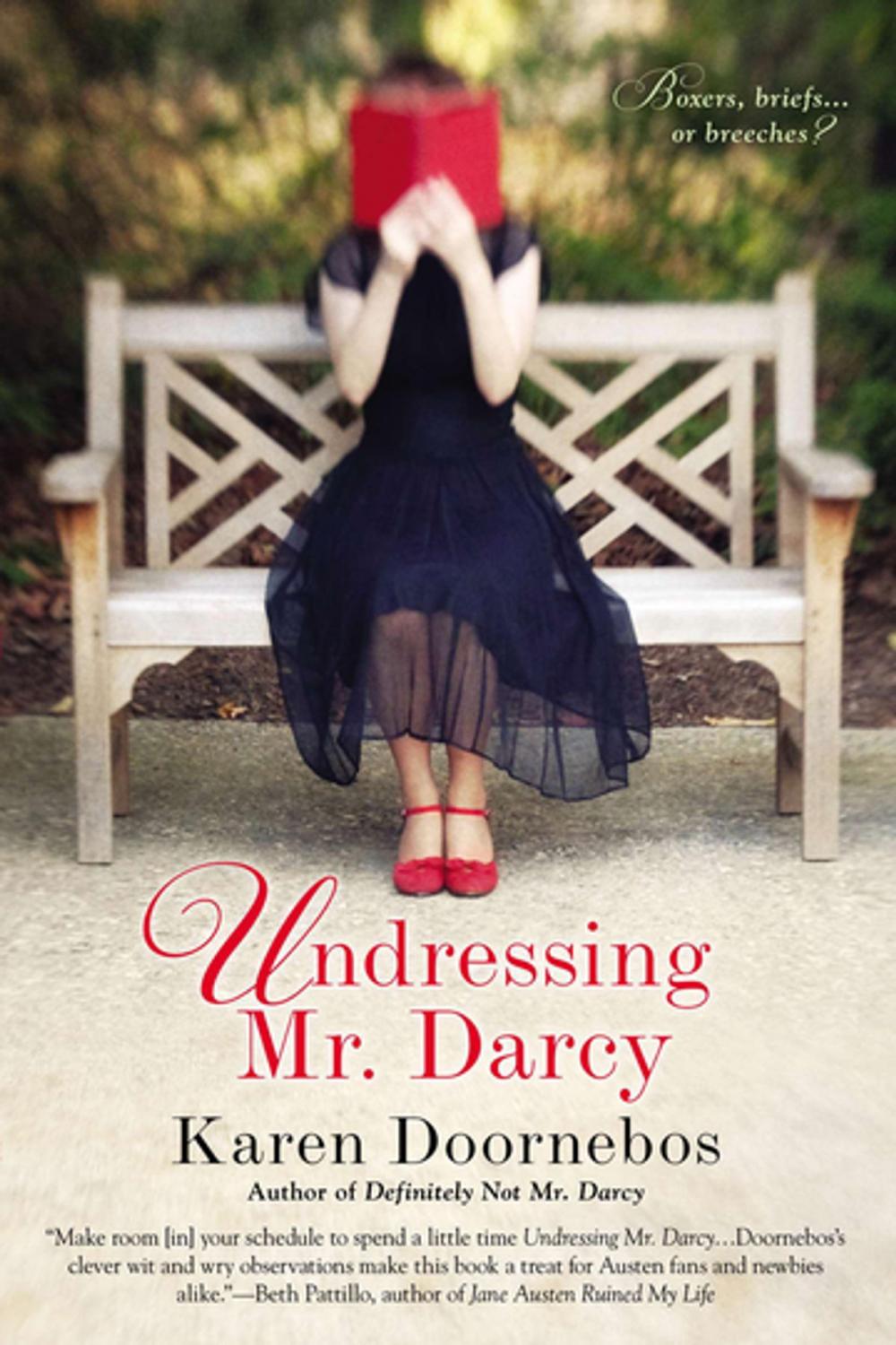 Big bigCover of Undressing Mr. Darcy