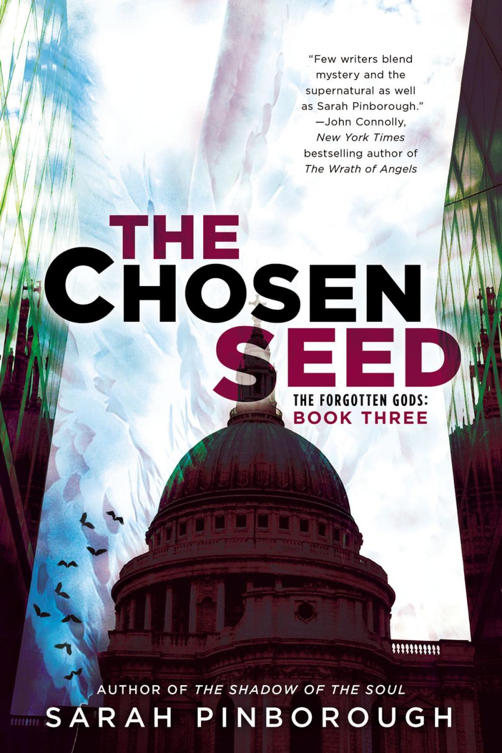 Big bigCover of The Chosen Seed