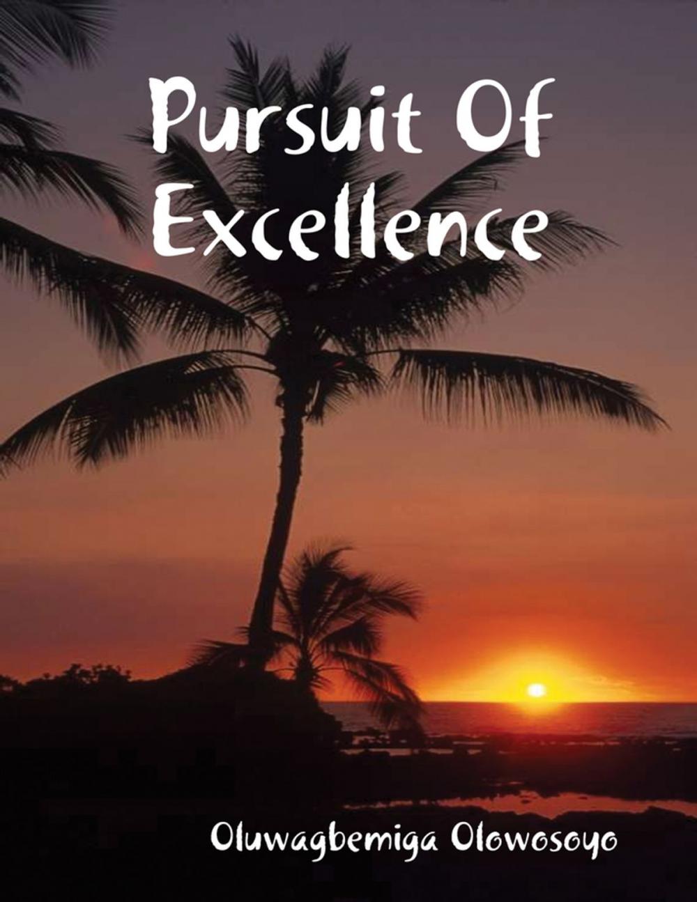 Big bigCover of Pursuit of Excellence