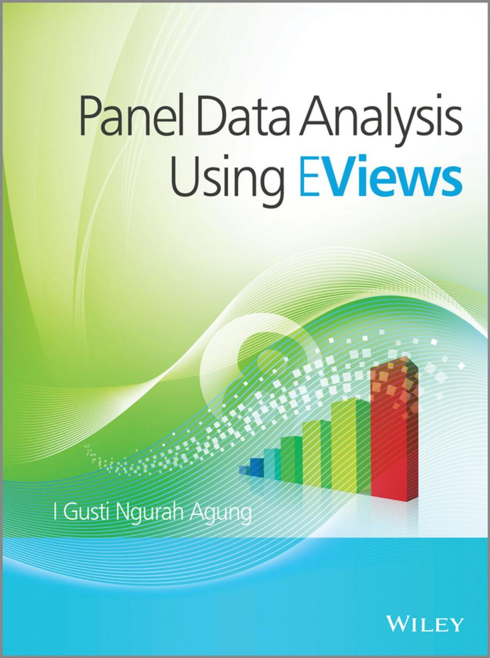 Big bigCover of Panel Data Analysis using EViews