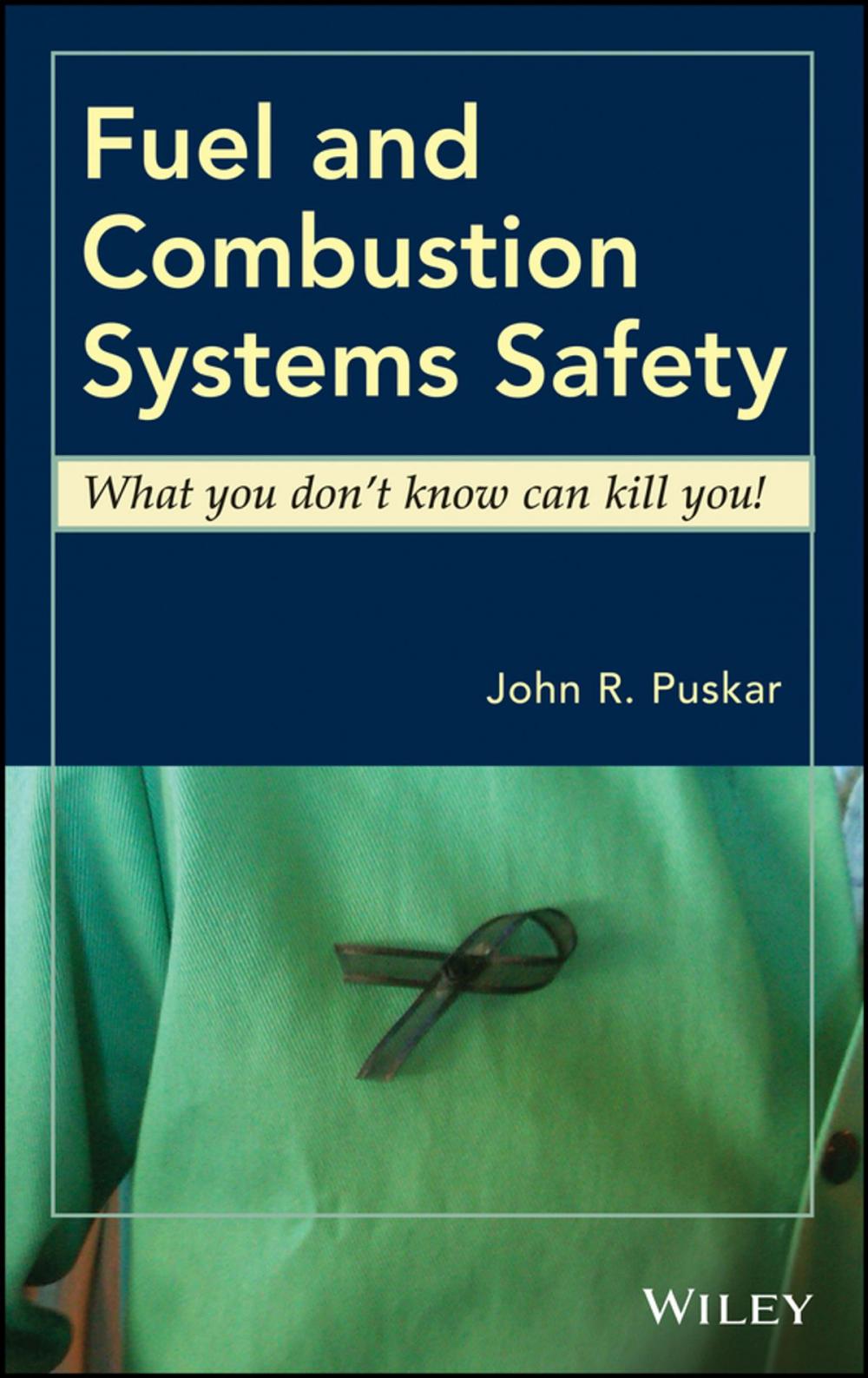 Big bigCover of Fuel and Combustion Systems Safety