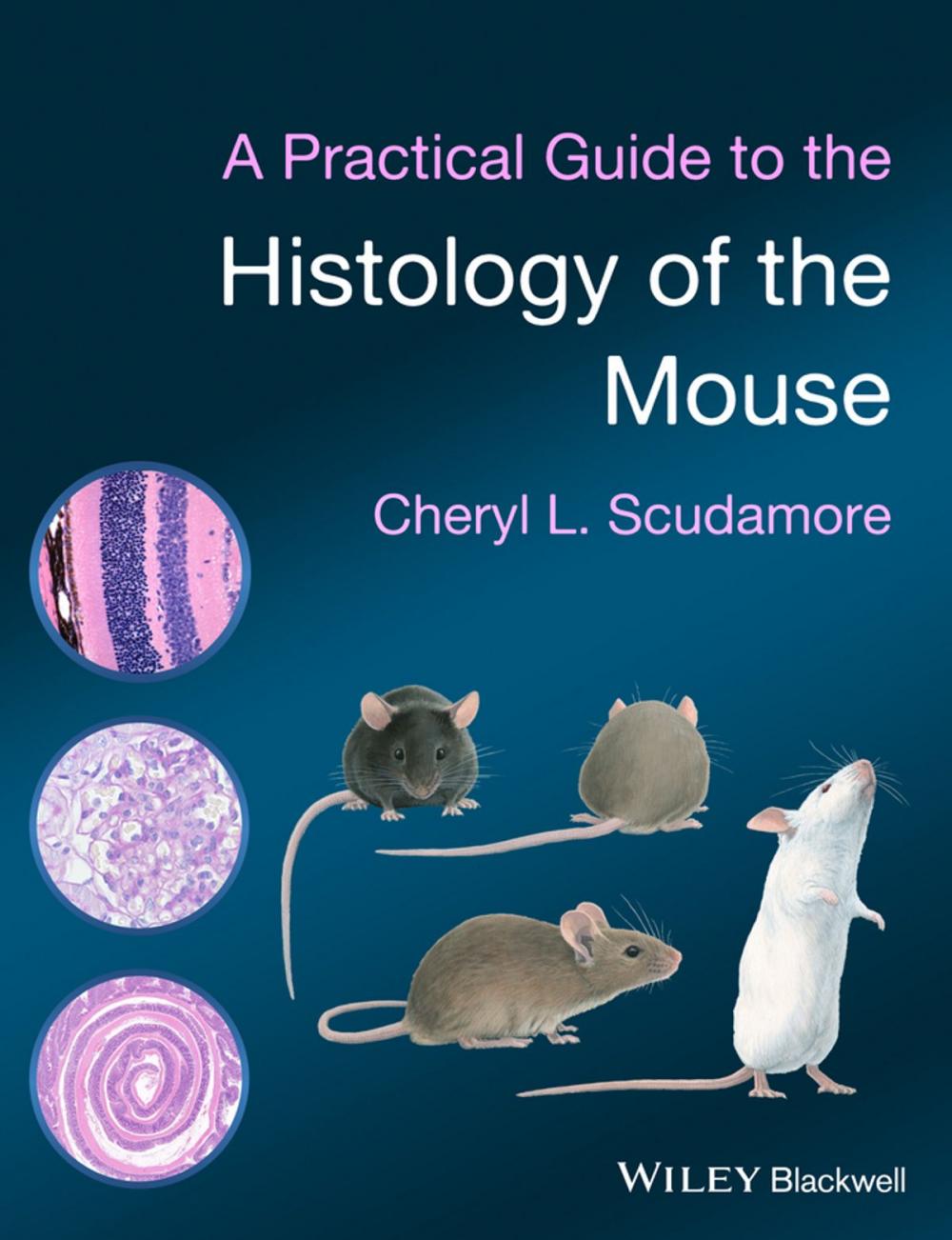 Big bigCover of A Practical Guide to the Histology of the Mouse