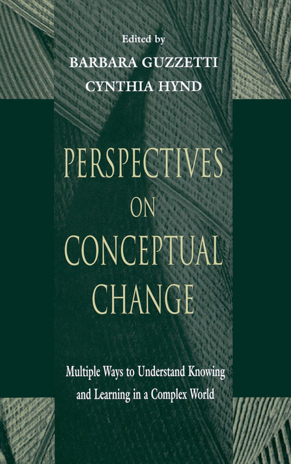 Big bigCover of Perspectives on Conceptual Change