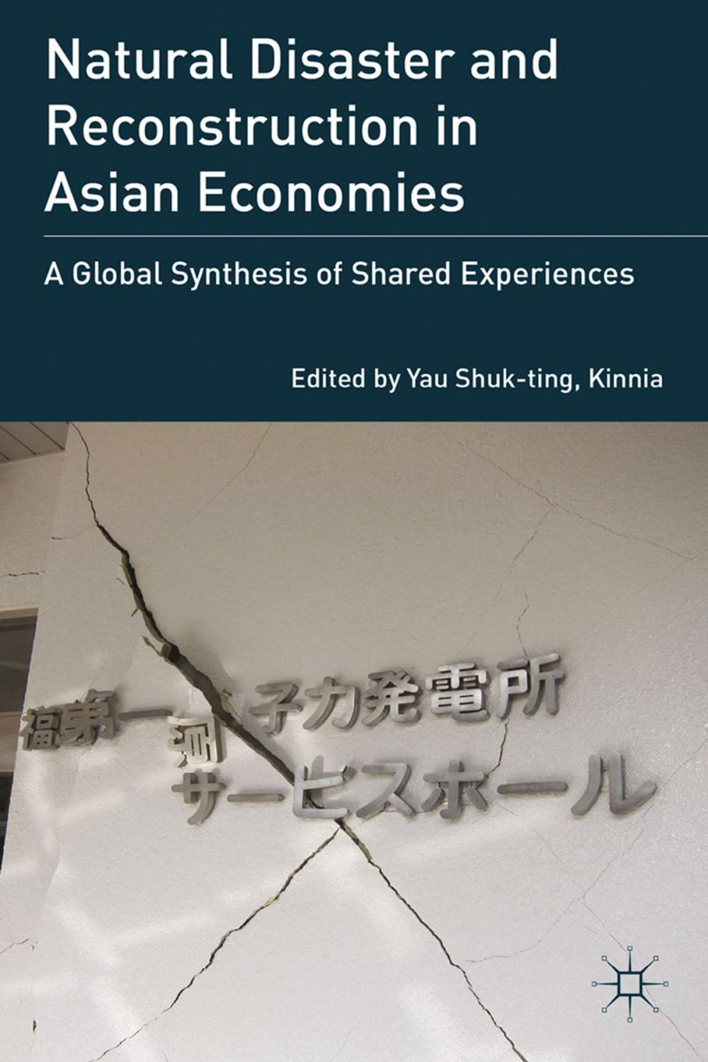 Big bigCover of Natural Disaster and Reconstruction in Asian Economies