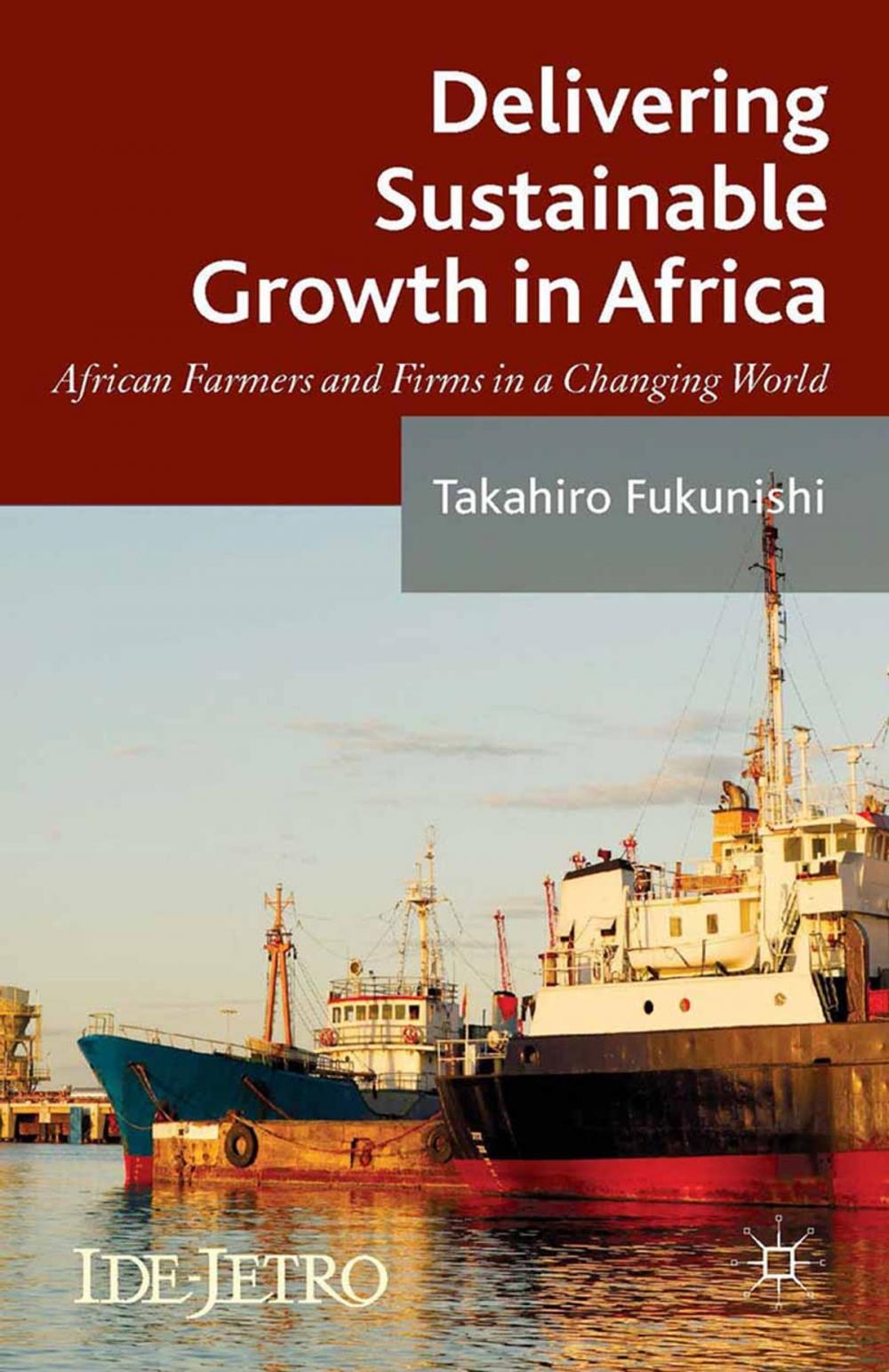 Big bigCover of Delivering Sustainable Growth in Africa