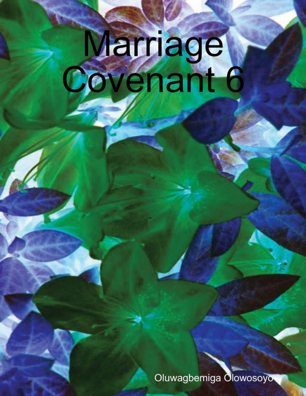 Big bigCover of Marriage Covenant 6