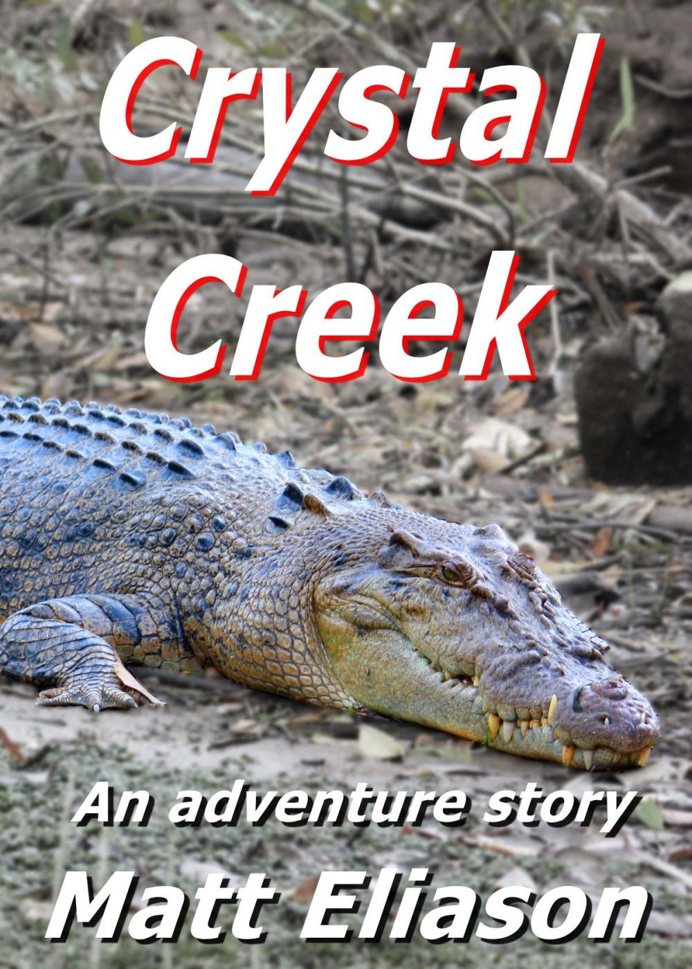 Big bigCover of Crystal Creek: An Adventure Story