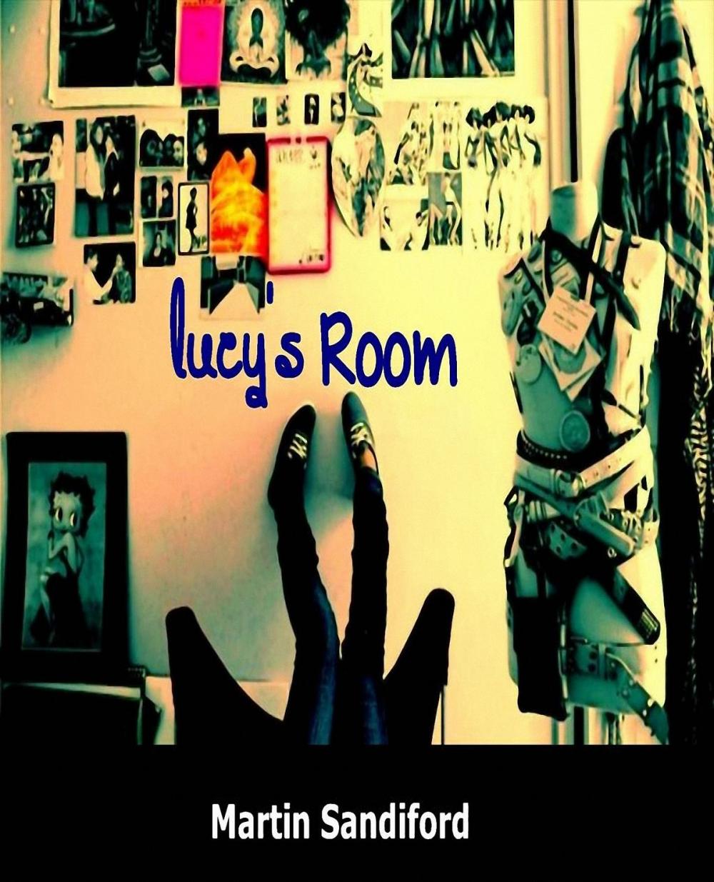 Big bigCover of Lucy's Room